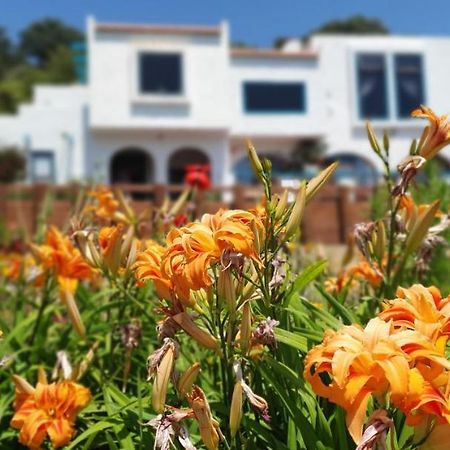 La Casa Te Puru Lodge Buitenkant foto